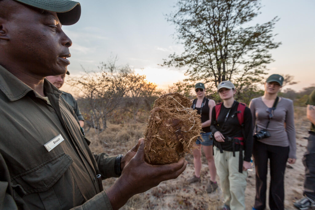 Animal Dung Lessons with Enoch
