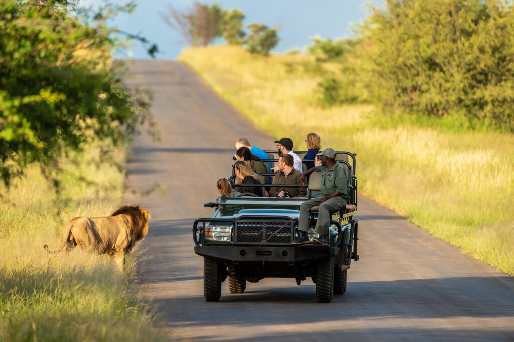Game Drives with Africa on Foot