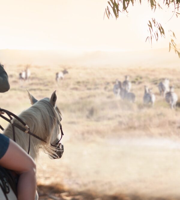 Horseback Safaris, South Africa