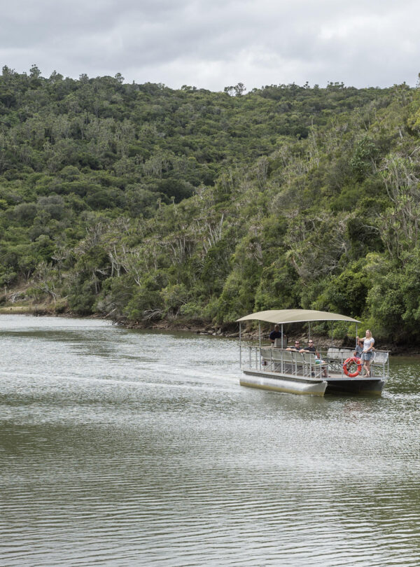 Boat Cruises along Kariega River