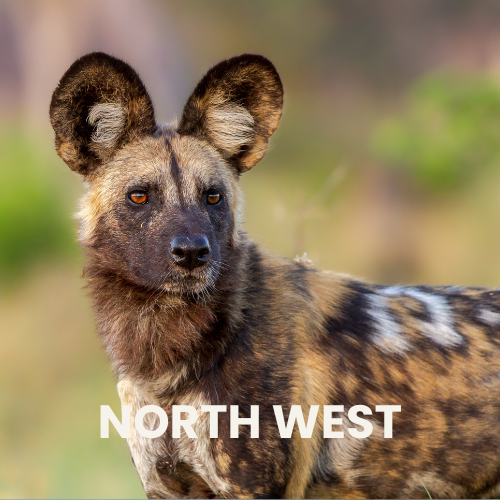 North West Safari Destination