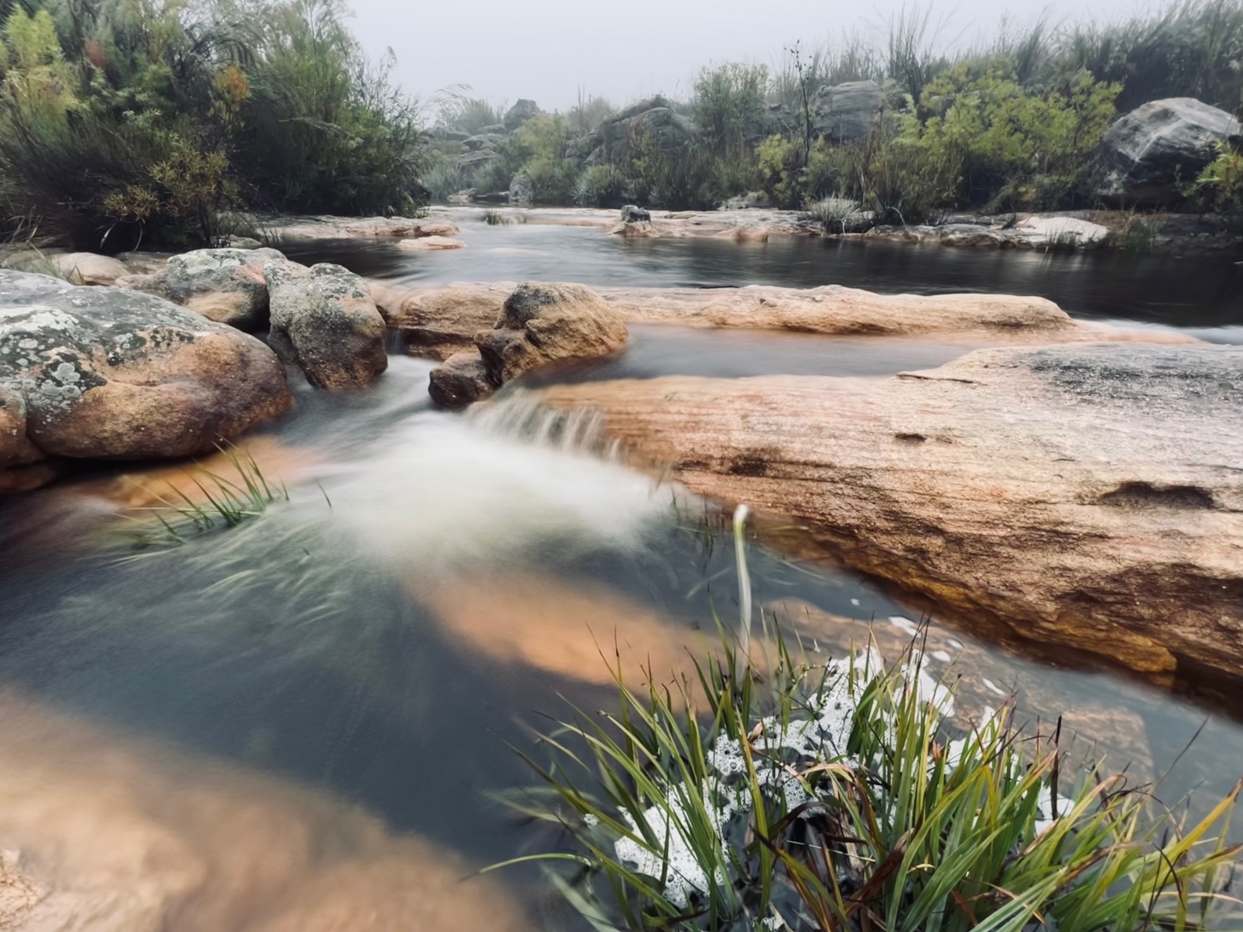 The Cederberg Wilderness area