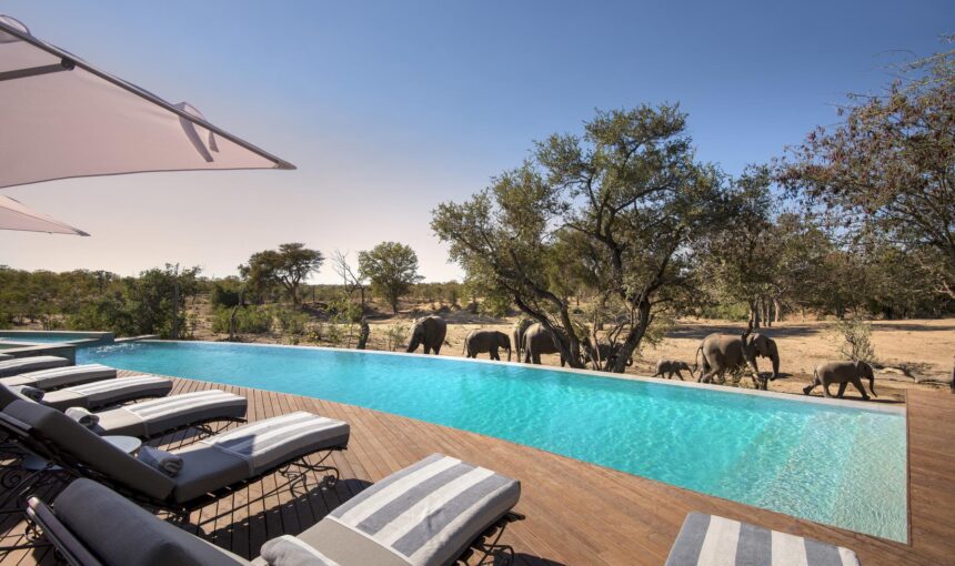 Top 10 Safari Lodge Swimming Pools