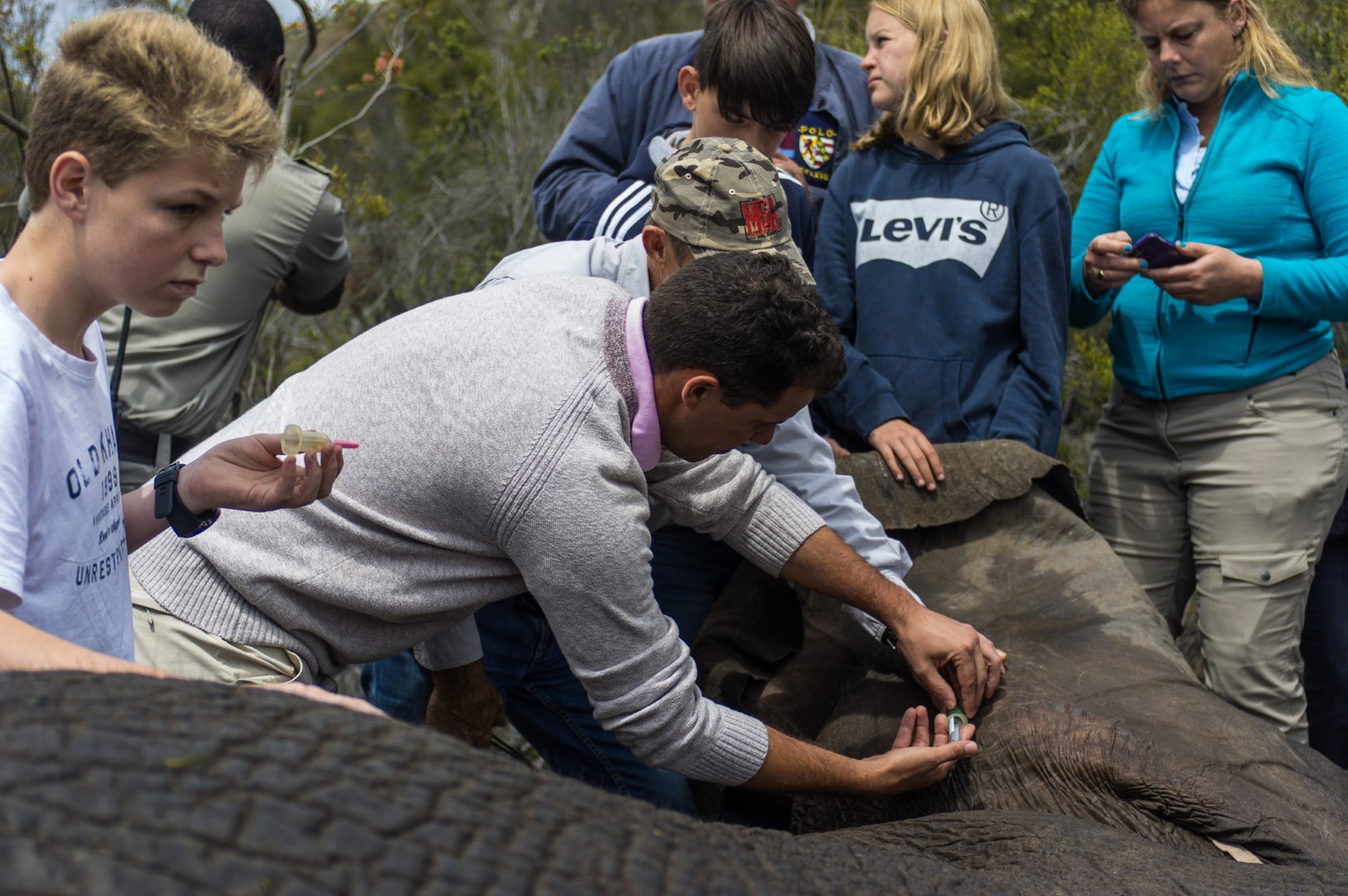 Veterinary Safari at Botlierskop