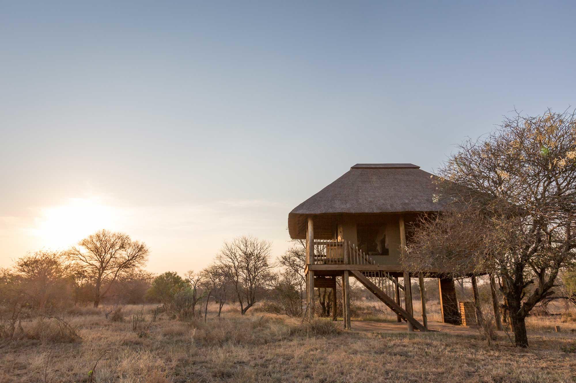 nThambo Tree Camp Treehouse Chalets on Stilts