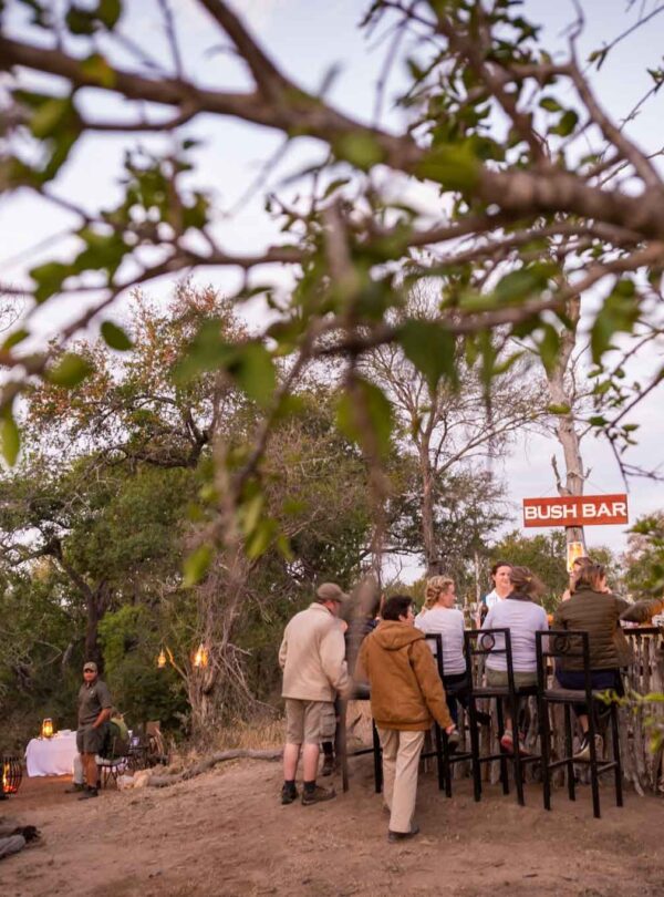 nThambo Tree Camp Bush Bar