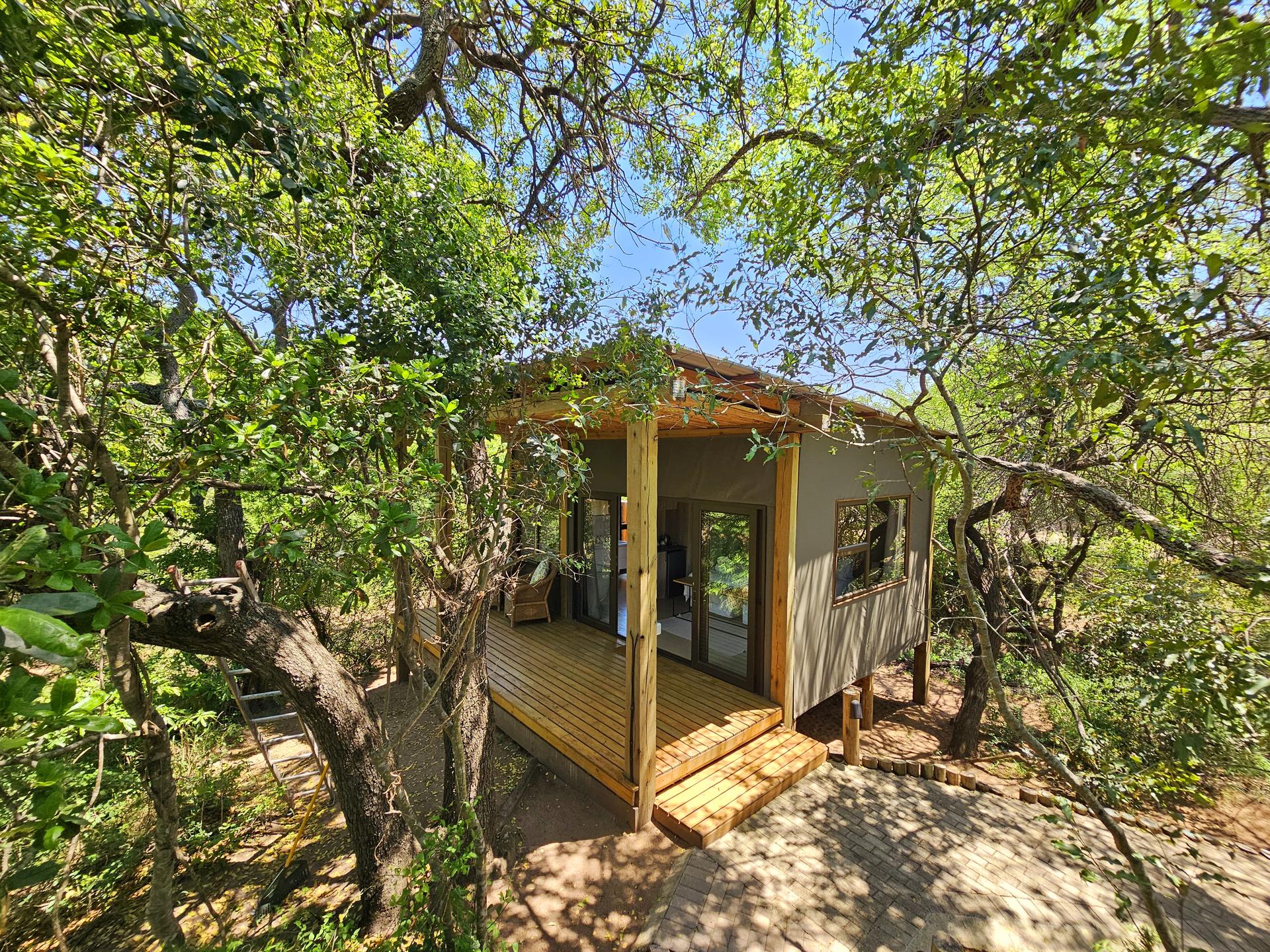 Kingfisher Safari Lodge luxury tented suite