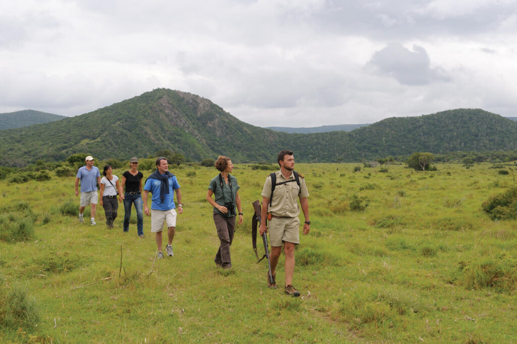 Guided walking safaris at Kariega Game Reserve