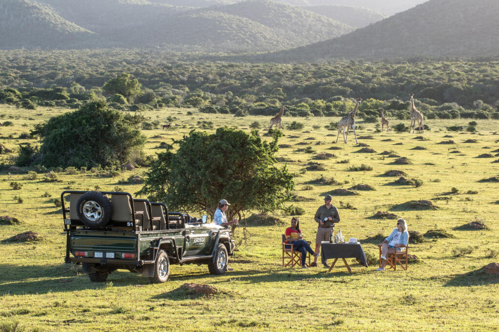 Kariega Settlers Drift safari game drives