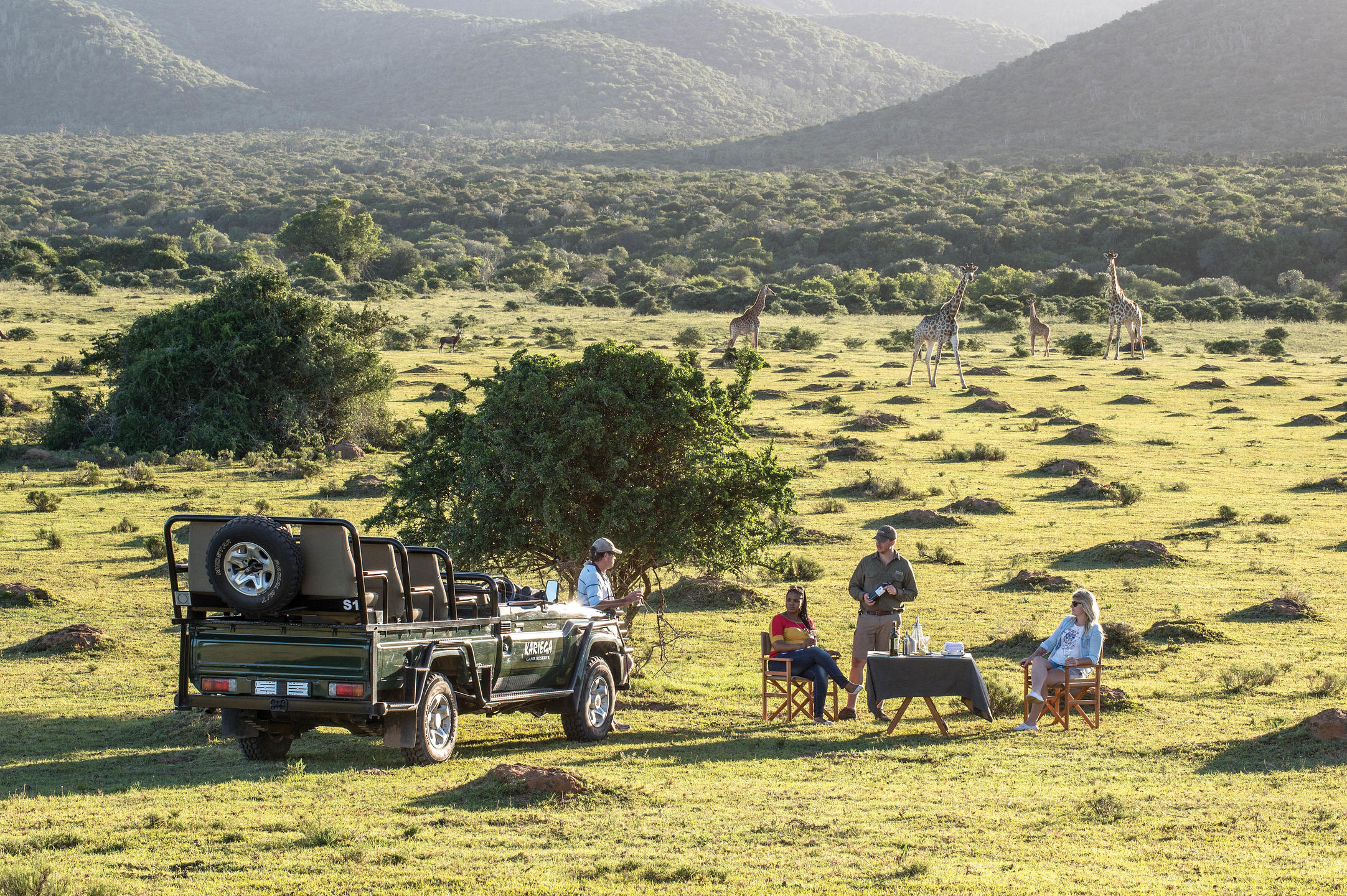 Kariega Settlers Drift safari game drives
