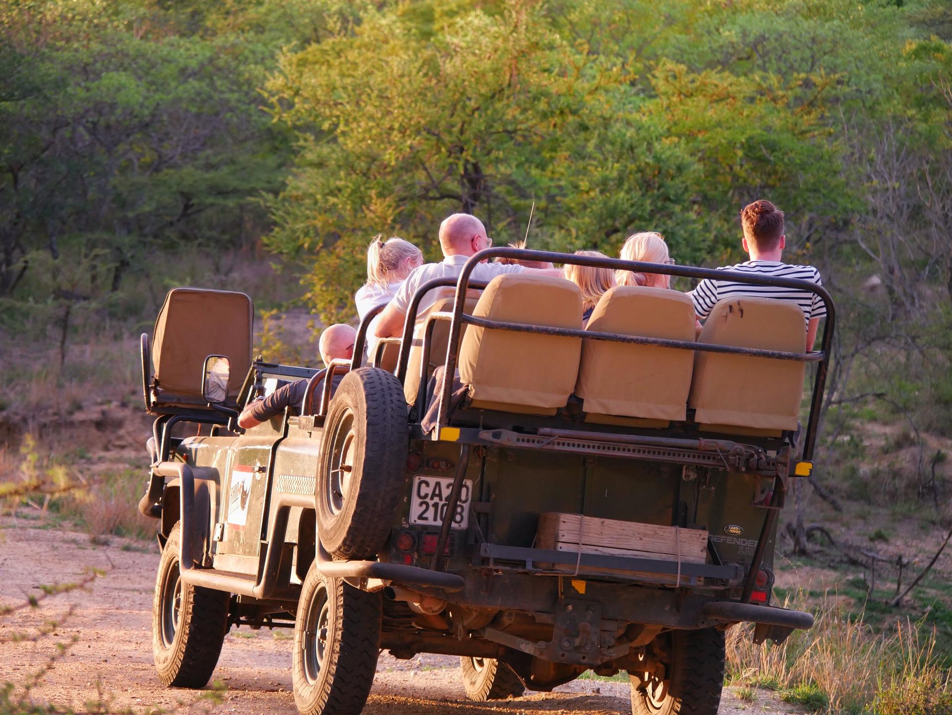 Game Drives with Kingfisher Creek