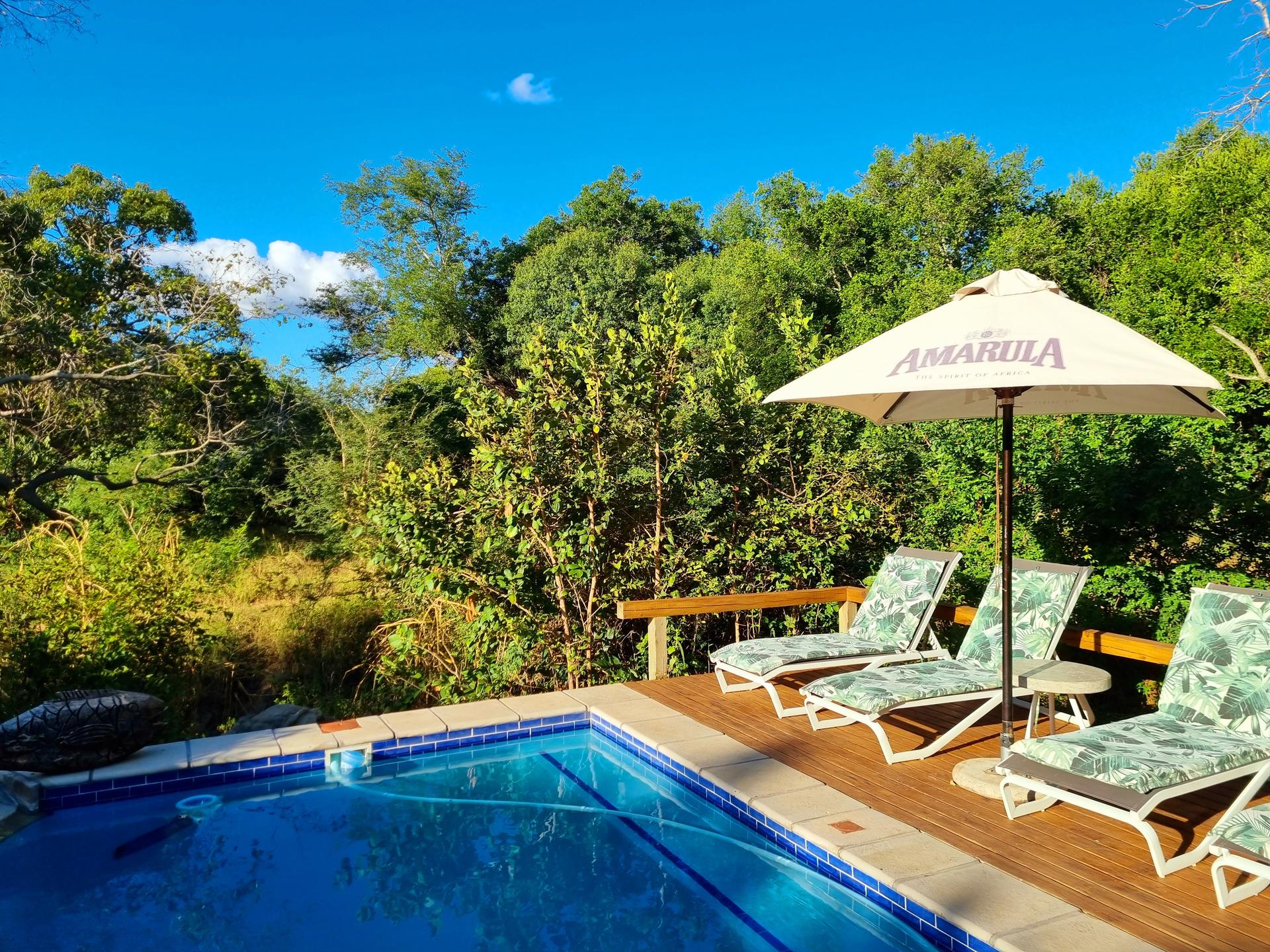 Swimming Pool at Kingfisher Safari Lodge in Kruger