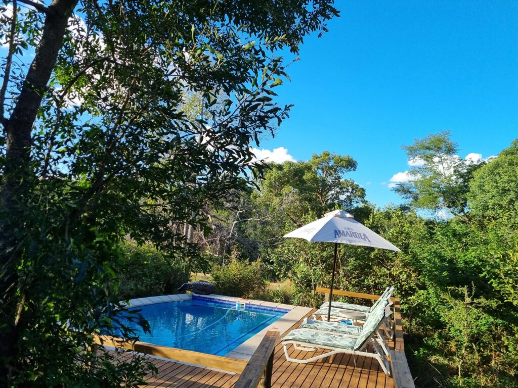 Swimming Pool at Kingfisher Safari Lodge