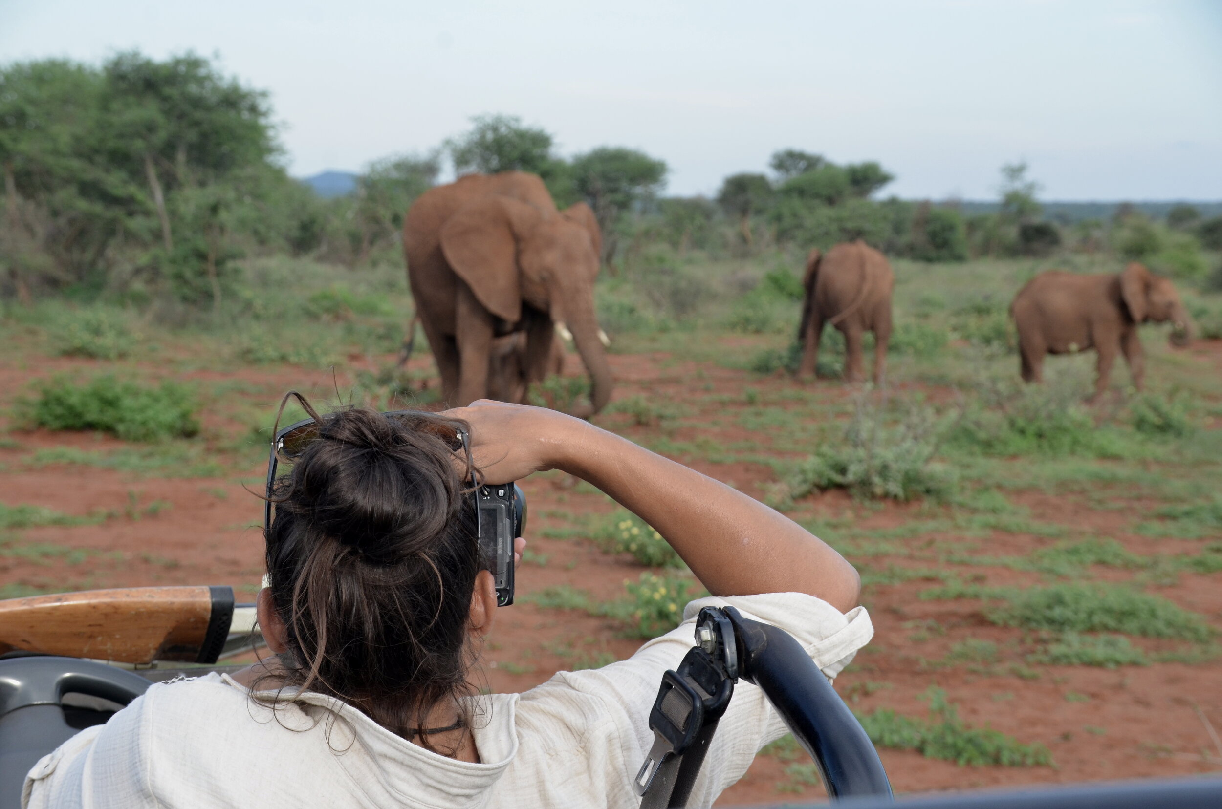 Noelle on Safari