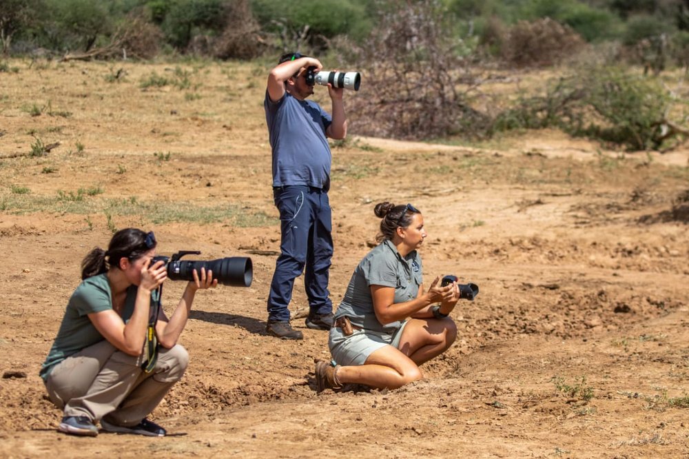 Tchagra Trails Kruger