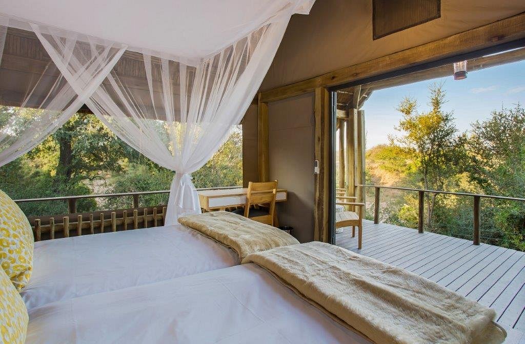 Bataleur Camp in Timbavati