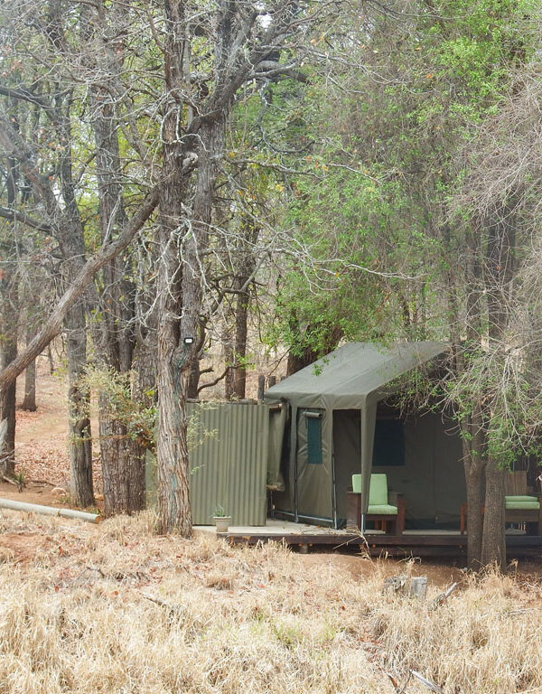nDzuti Bush Camp Meru Style Tents
