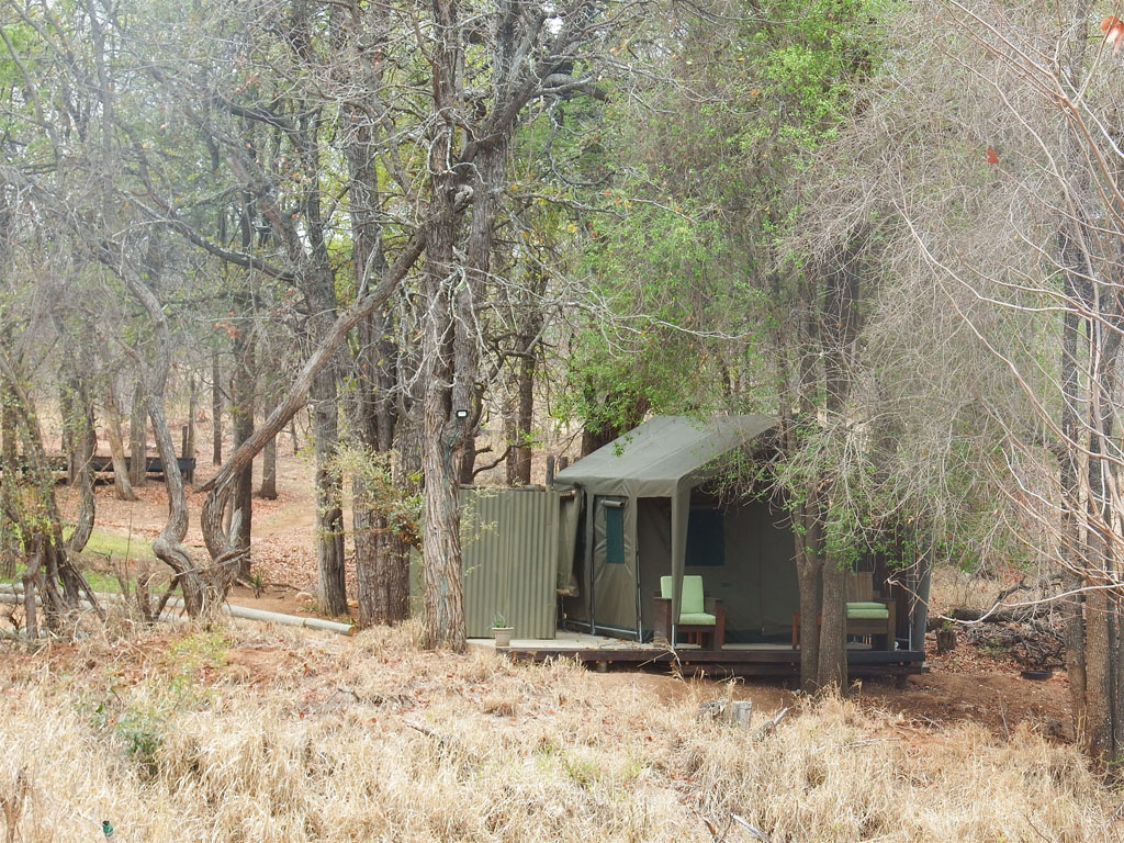nDzuti Bush Camp Meru Style Tents