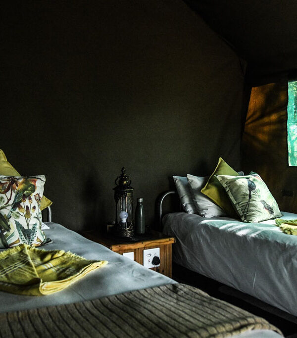 nDzuti Bush Camp in Kruger