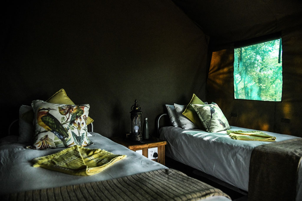 nDzuti Bush Camp in Kruger
