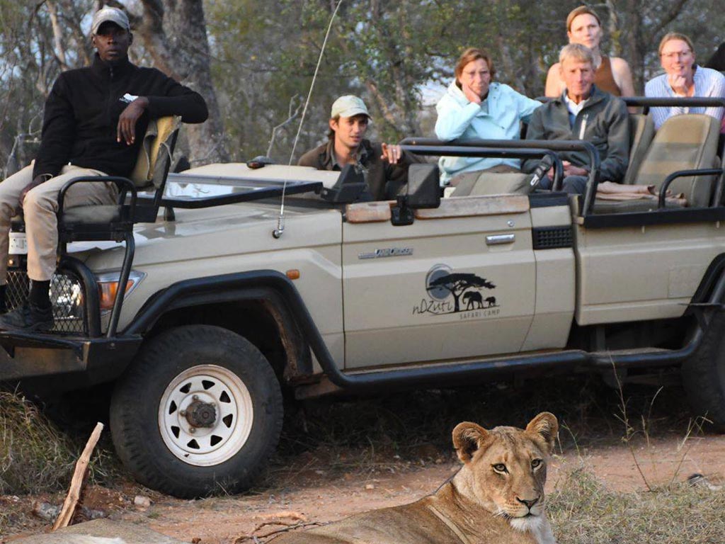 nDzuti Game Drive Lions