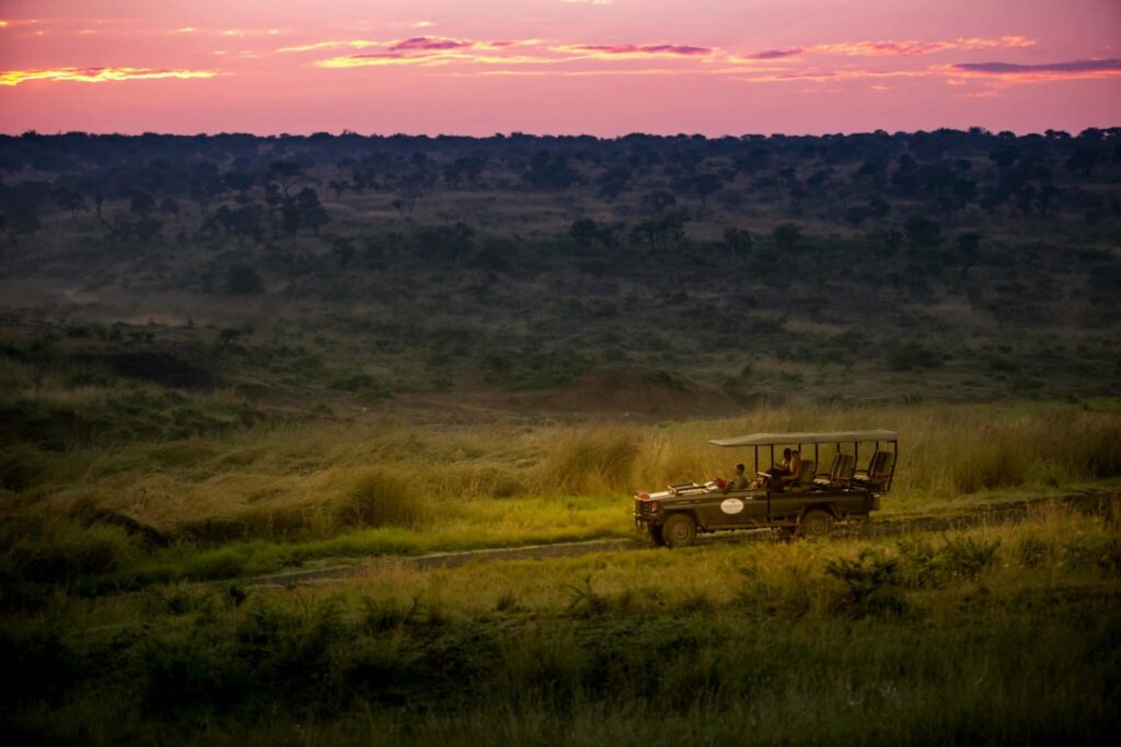Umzolozolo Sunset Game Drive