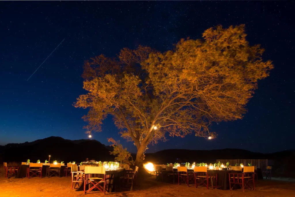 Shepherds Tree Boma