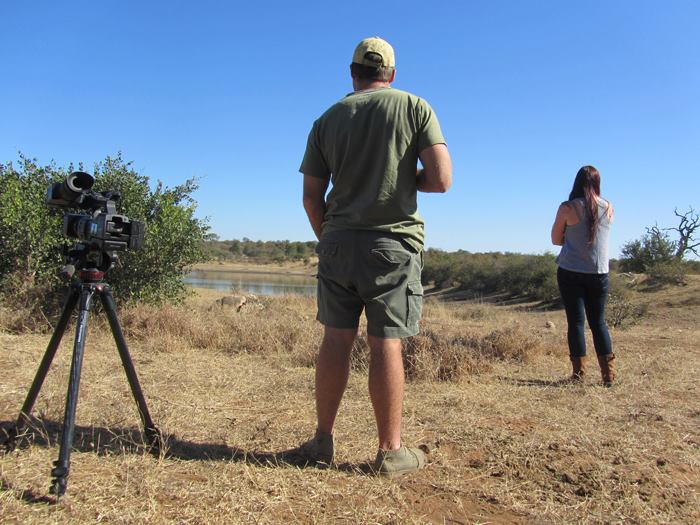 Observing the Kruger Bushveld